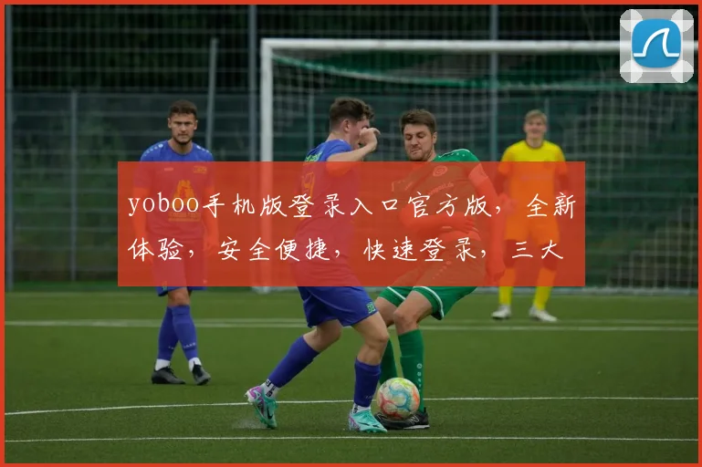 yoboo手机版登录入口官方版，全新体验，安全便捷，快速登录，三大亮点