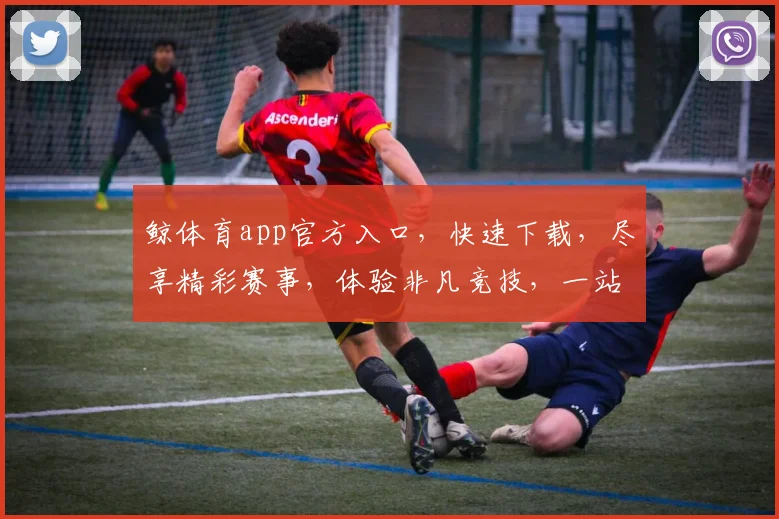 鲸体育app官方入口，快速下载，尽享精彩赛事，体验非凡竞技，一站式服务，三步轻松登录，不容错过