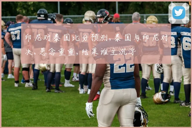 印尼对泰国比分预测,泰国与印尼对决,悬念重重,结果谁主沉浮