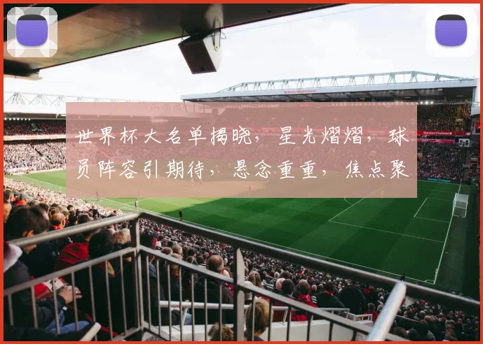世界杯大名单揭晓，星光熠熠，球员阵容引期待，悬念重重，焦点聚焦